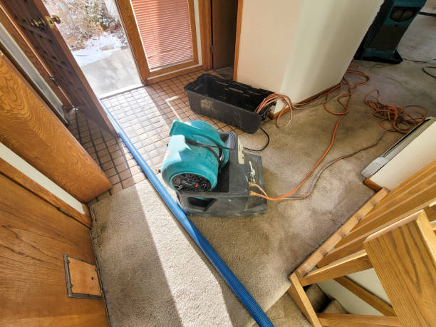 Best Flood restoration services  in Georgetown, IL