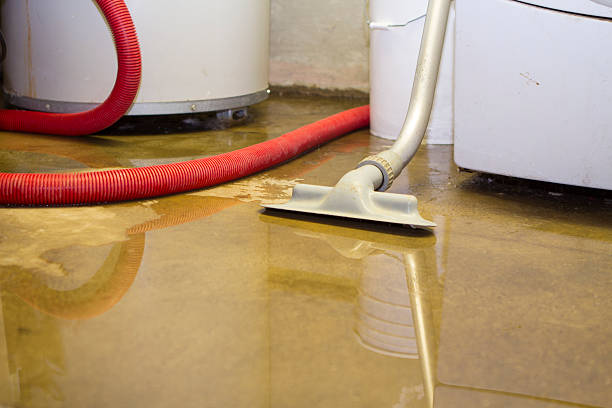 Best Professional water damage repair  in Georgetown, IL