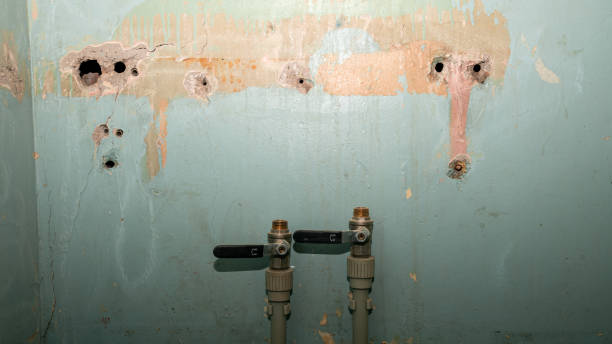 Best Water damage cleanup near me  in Georgetown, IL