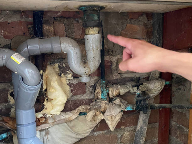 Best Carpet water damage restoration  in Georgetown, IL