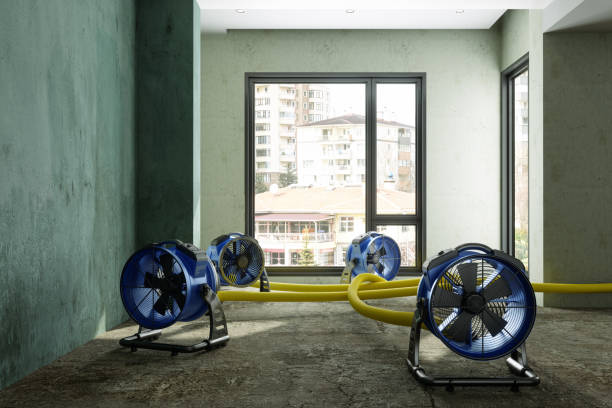 Water damage restoration mold remediation in Georgetown, IL